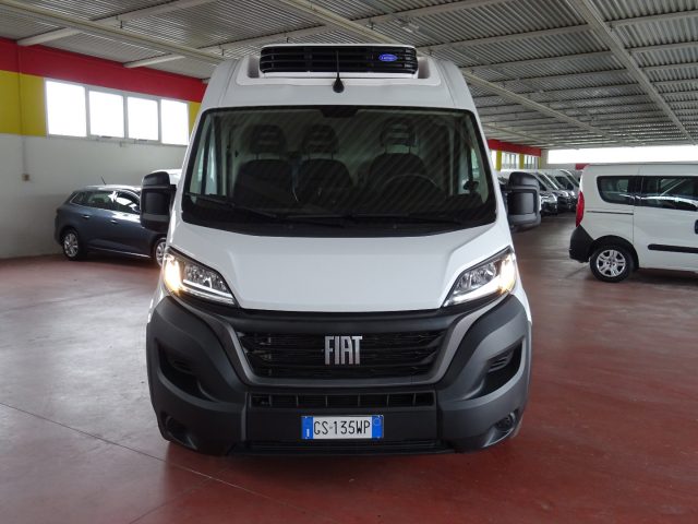Fiat Ducato 35 q.li 2.2 Mjt 140CV PM-TM FRIGO FRCX -20� usato a MASER