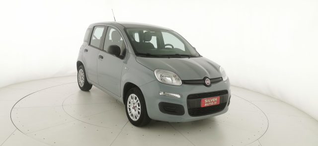 Fiat Panda 1.2 Easy usato a CREMA