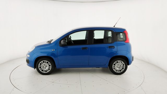 Fiat Pandina 1.0 FireFly S&S Hybrid Pop e Icon - Km Zero - foto 4 di 4