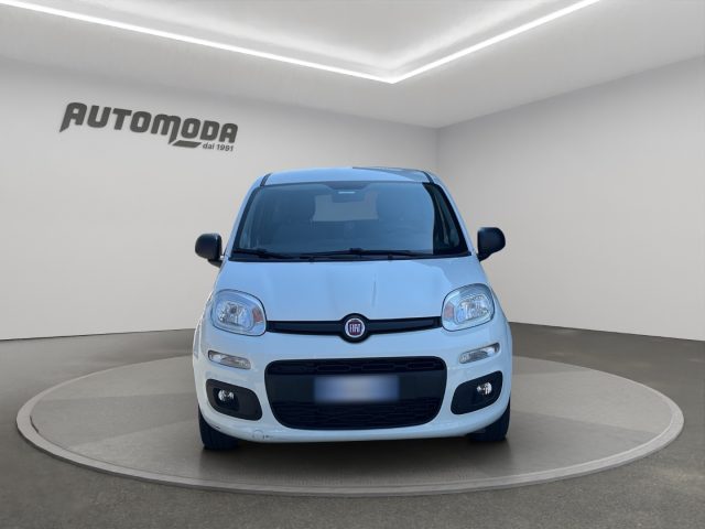 Fiat Panda VAN 2 POSTI HYBRID - foto 3 di 4
