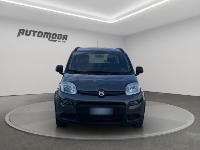 Fiat Panda 1.0 HYBRID CITY LIFE - foto 3 di 4
