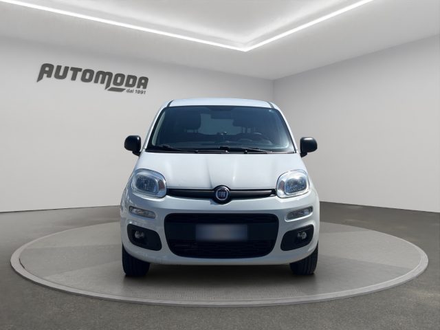 Fiat Panda Van 2 posti 4x4 - foto 3 di 4
