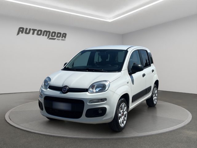 Fiat Panda Van 2 posti 4x4 usato a SAN MINIATO