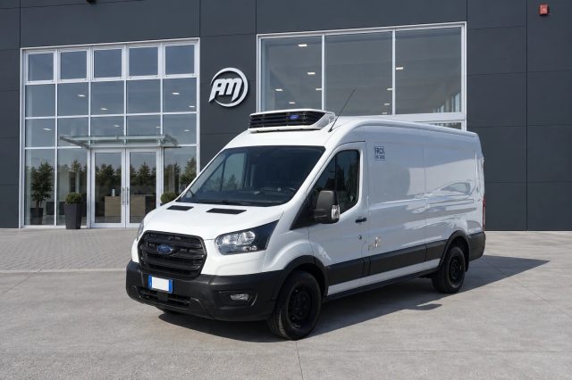 Ford Transit L3H2 FRIGO FRCX 2.0 130CV, del 2024, 34.511 km, in vendita a San Miniato (PI)