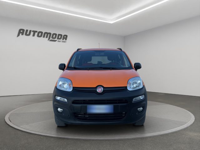 Fiat Panda 1.3MJT 4X4 2 POSTI usato a SAN MINIATO