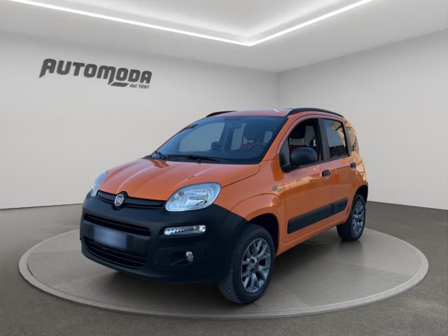 Fiat Panda 1.3MJT 4X4 2 POSTI usato a SAN MINIATO