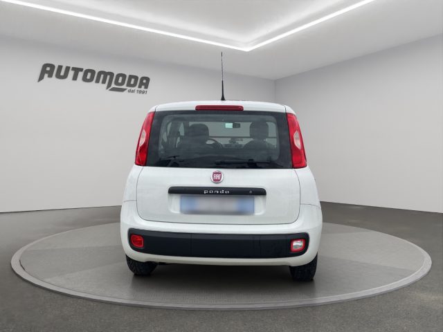 Fiat Panda 1.3Mjt Autocarro N1 usato a SAN MINIATO
