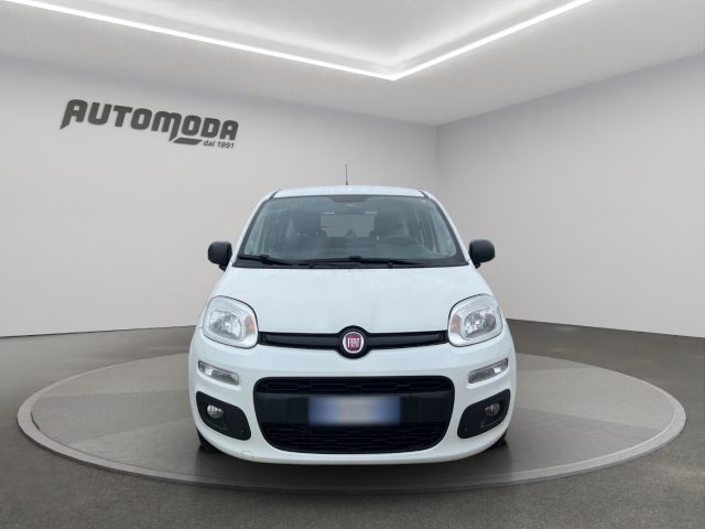 Fiat Panda 1.3Mjt Autocarro N1 usato a SAN MINIATO