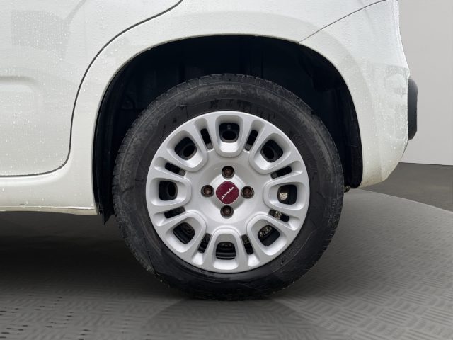 Fiat Panda 1.3Mjt Autocarro N1, del 2018, 139.139 km, in vendita a San Miniato (PI)