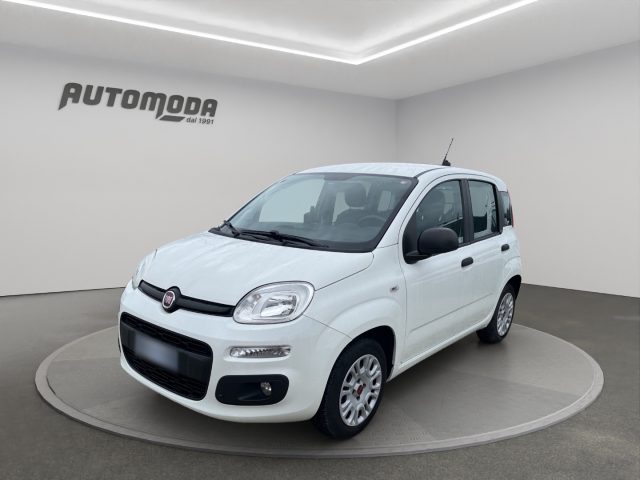 Fiat Panda 1.3Mjt Autocarro N1 usato a SAN MINIATO