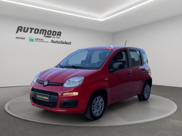 Fiat Panda 1.0 Hybrid Van 4 posti usato a SAN MINIATO