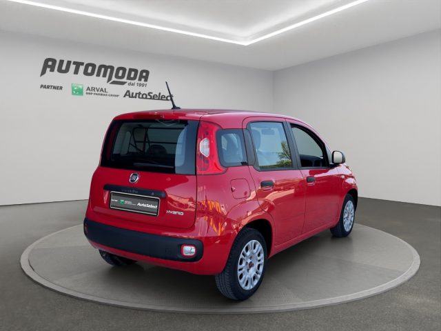 Fiat Panda 1.0 Hybrid Van 4 posti - foto 4 di 4