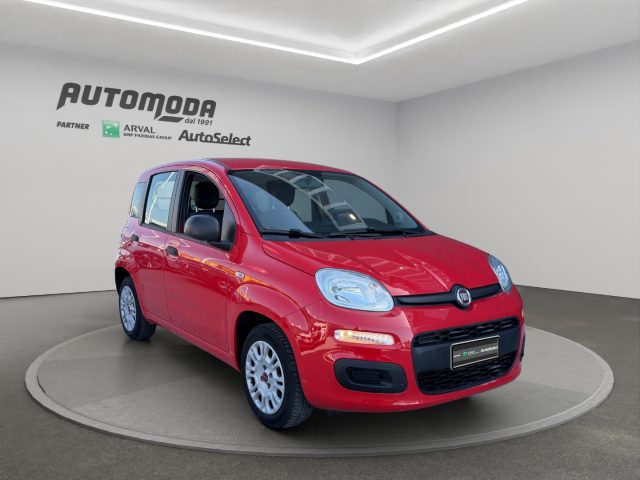 Fiat Panda 1.0 Hybrid Van 4 posti - foto 3 di 4