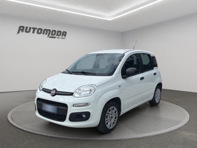 Fiat Panda 1.2 69CV EASY, del 2019, 71.208 km, in vendita a San Miniato (PI)