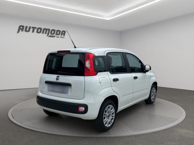 Fiat Panda 1.2 69CV EASY - foto 4 di 16