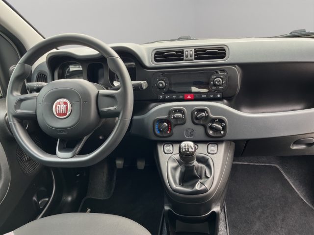 Fiat Panda 1.2 69CV EASY usato a SAN MINIATO