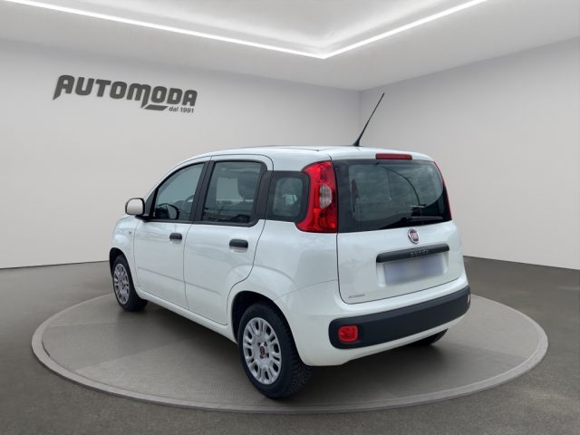Fiat Panda 1.2 69CV EASY usato a SAN MINIATO