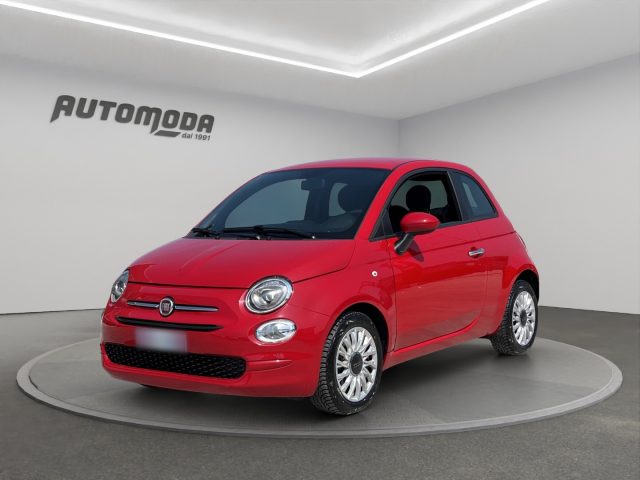 Fiat 500 1.0 70CV Hybrid Cult usato a SAN MINIATO
