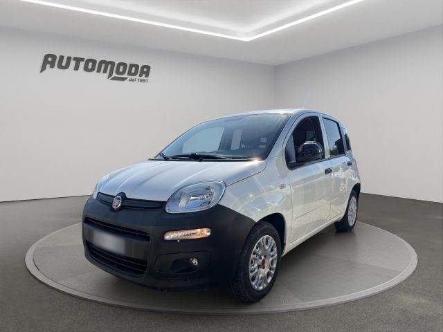 Fiat Panda 1.2 VAN AUTOCARRO usato a SAN MINIATO
