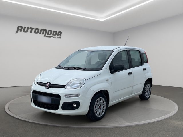Fiat Panda 1.3Mjt Autocarro N1 usato a SAN MINIATO