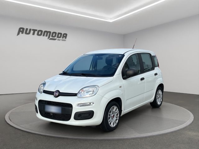 Fiat Panda 1.2 Easy 69CV usato a SAN MINIATO