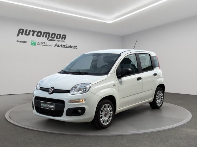 Fiat Panda 1.2bz van 4 posti usato a SAN MINIATO