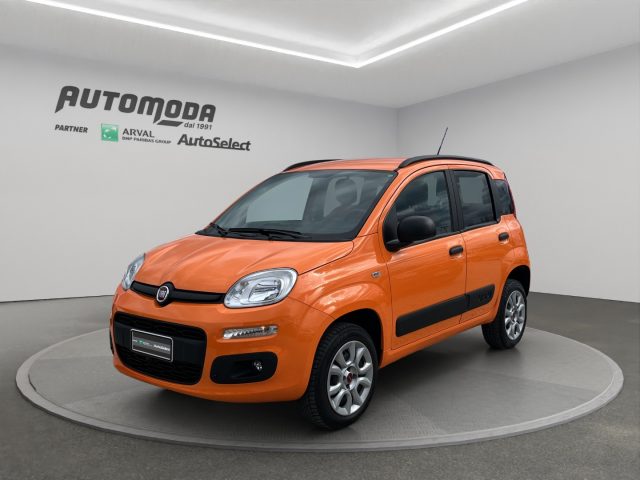 Fiat Panda VAN 85CV 4X4 usato a SAN MINIATO