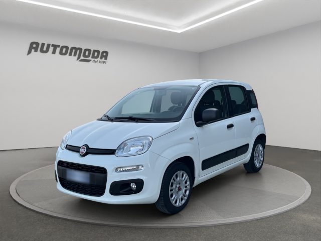 Fiat Panda 1.2 Easy 69CV usato a SAN MINIATO
