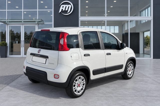 Fiat Panda 1.0 70CV Hybrid AUTOCARRO 4 posti - foto 4 di 4