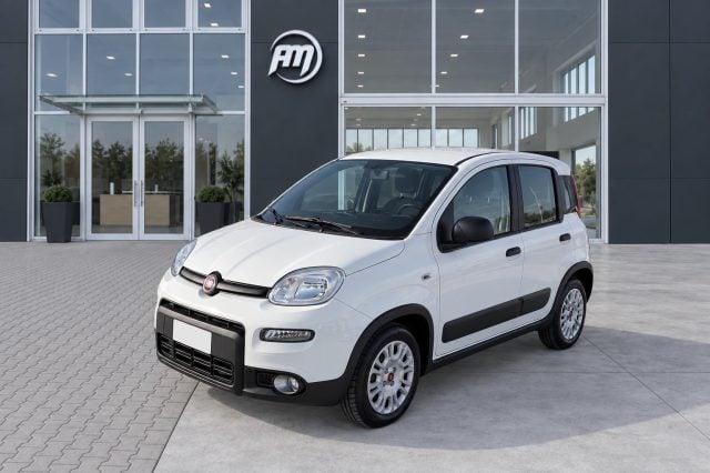 Fiat Panda 1.0 70CV Hybrid AUTOCARRO 4 posti, del 2021, 52.672 km, in vendita a San Miniato (PI)