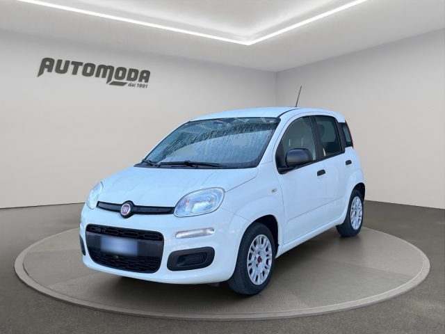 Fiat Panda 1.2 Easy 69CV usato a SAN MINIATO