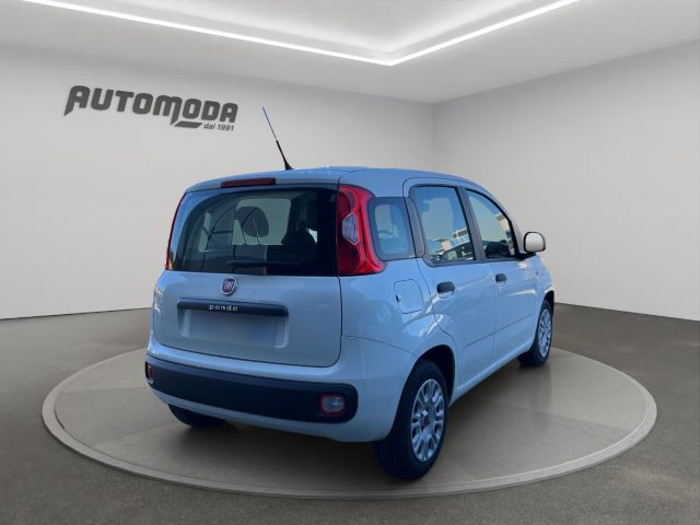 Fiat Panda 1.2 Easy 69CV - foto 4 di 16