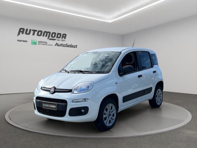 Fiat Panda VAN 4x4 2 POSTI usato a SAN MINIATO