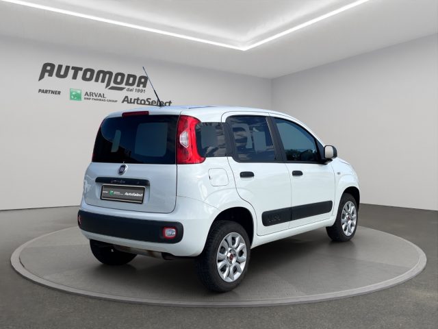Fiat Panda VAN 4x4 2 POSTI - foto 4 di 4