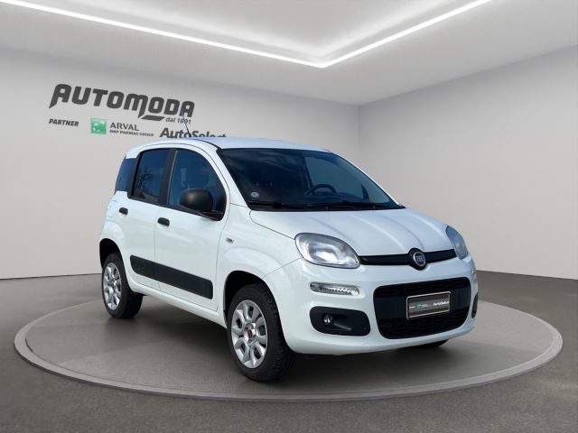 Fiat Panda VAN 4x4 2 POSTI - foto 3 di 4
