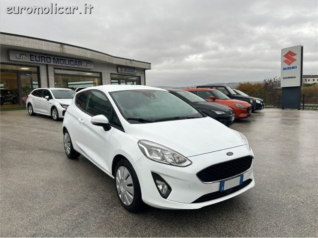 Ford Fiesta 1.5 TDCi 85 Van N1, del 2020, 216.000 km, in vendita a Campodipietra (CB)