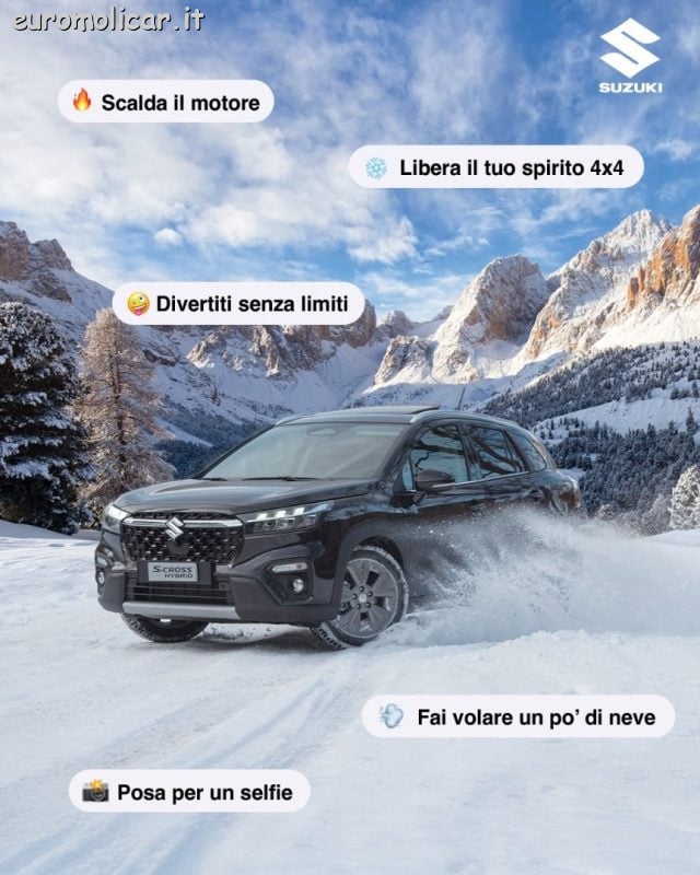 Suzuki S-Cross Hybrid 1.4 TOP GPL, in vendita a Campodipietra (CB)