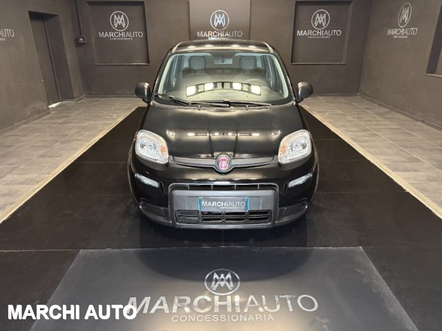 Fiat Panda 1.0 FireFly S&S Hybrid - foto 2 di 20