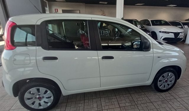 Fiat Panda 1.2 POP - foto 4 di 4