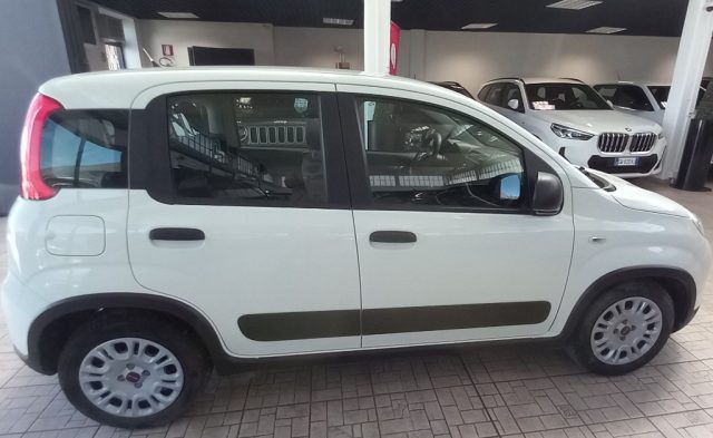 Fiat Panda 1.0 GSE S&S Hybrid Street Van 4 posti - foto 4 di 4