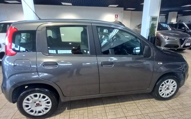 Fiat Panda 1.2 Easy - foto 3 di 4