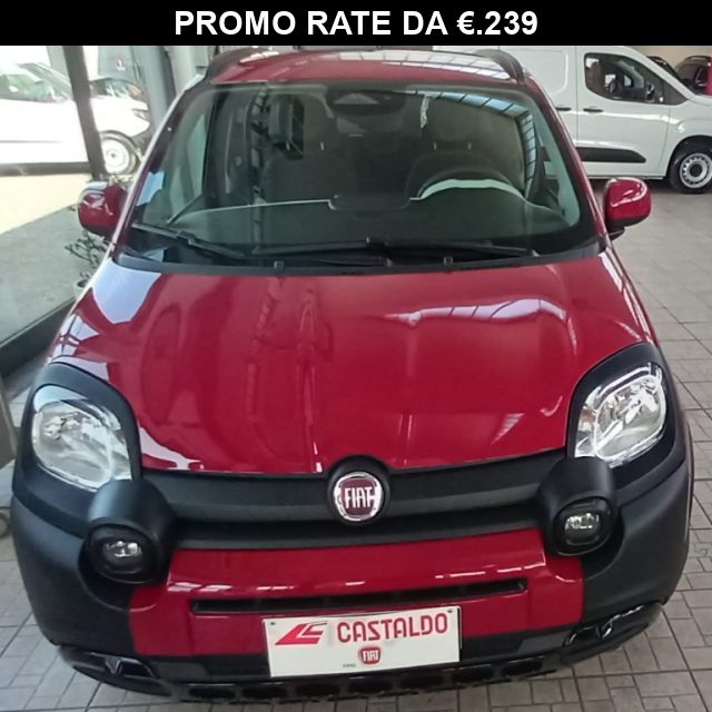 Fiat Panda Cross 1.0 FireFly S&S Hybrid usato a TORINO