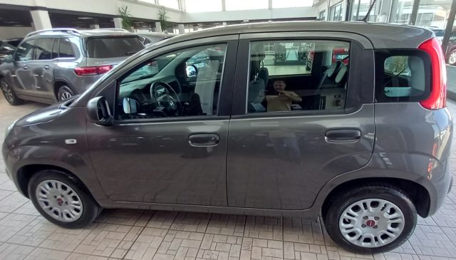 Fiat Panda 1.2 Easy - foto 4 di 4
