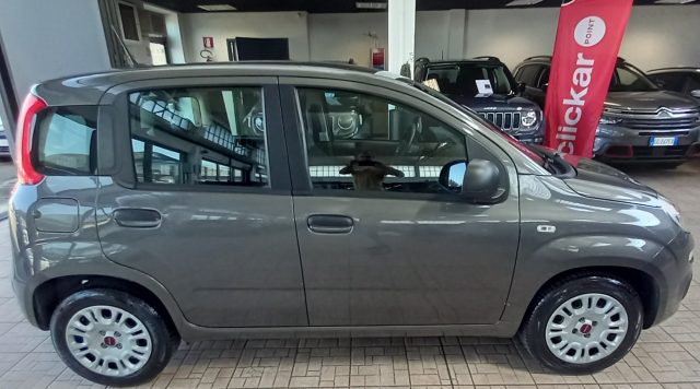 Fiat Panda 1.2 Easy - foto 2 di 4