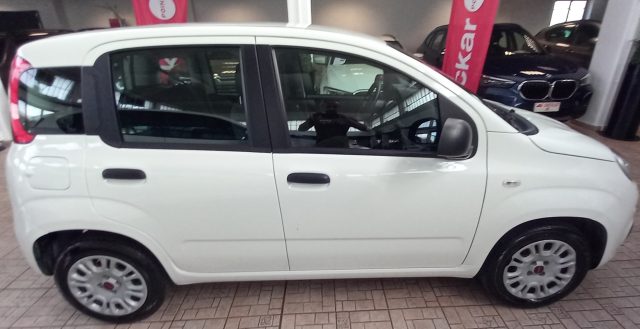 Fiat Panda 1.2 Easy - foto 4 di 4