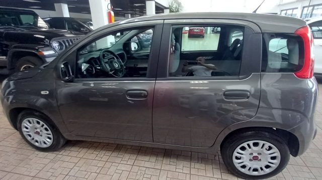 Fiat Panda 1.0 FireFly S&S Hybrid - foto 4 di 4