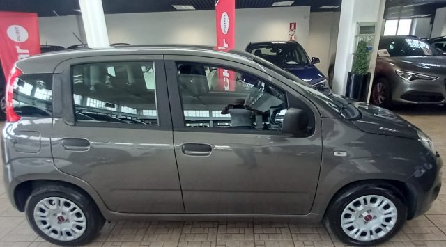 Fiat Panda 1.0 FireFly S&S Hybrid - foto 2 di 4