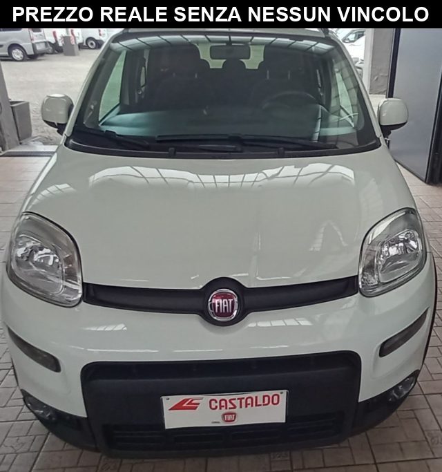 Fiat Panda 1.0 FireFly S&S Hybrid City Life usato a TORINO