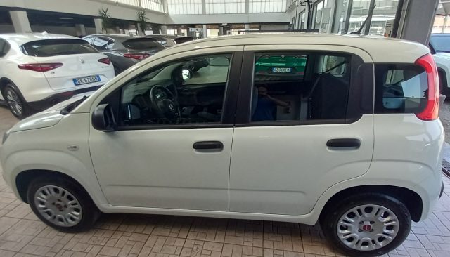 Fiat Panda 1.2 Easy - foto 4 di 4