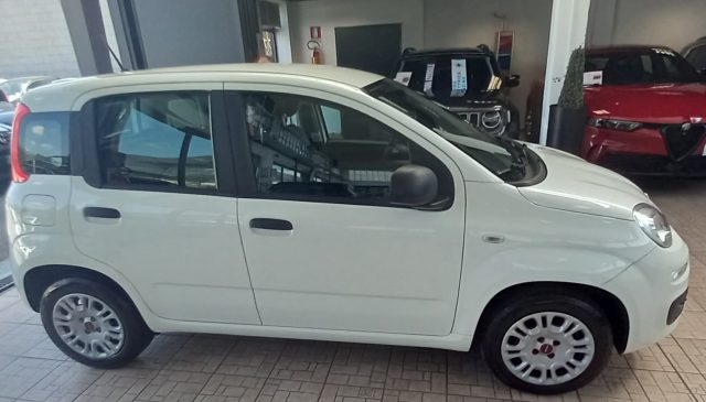 Fiat Panda 1.2 Easy - foto 2 di 4